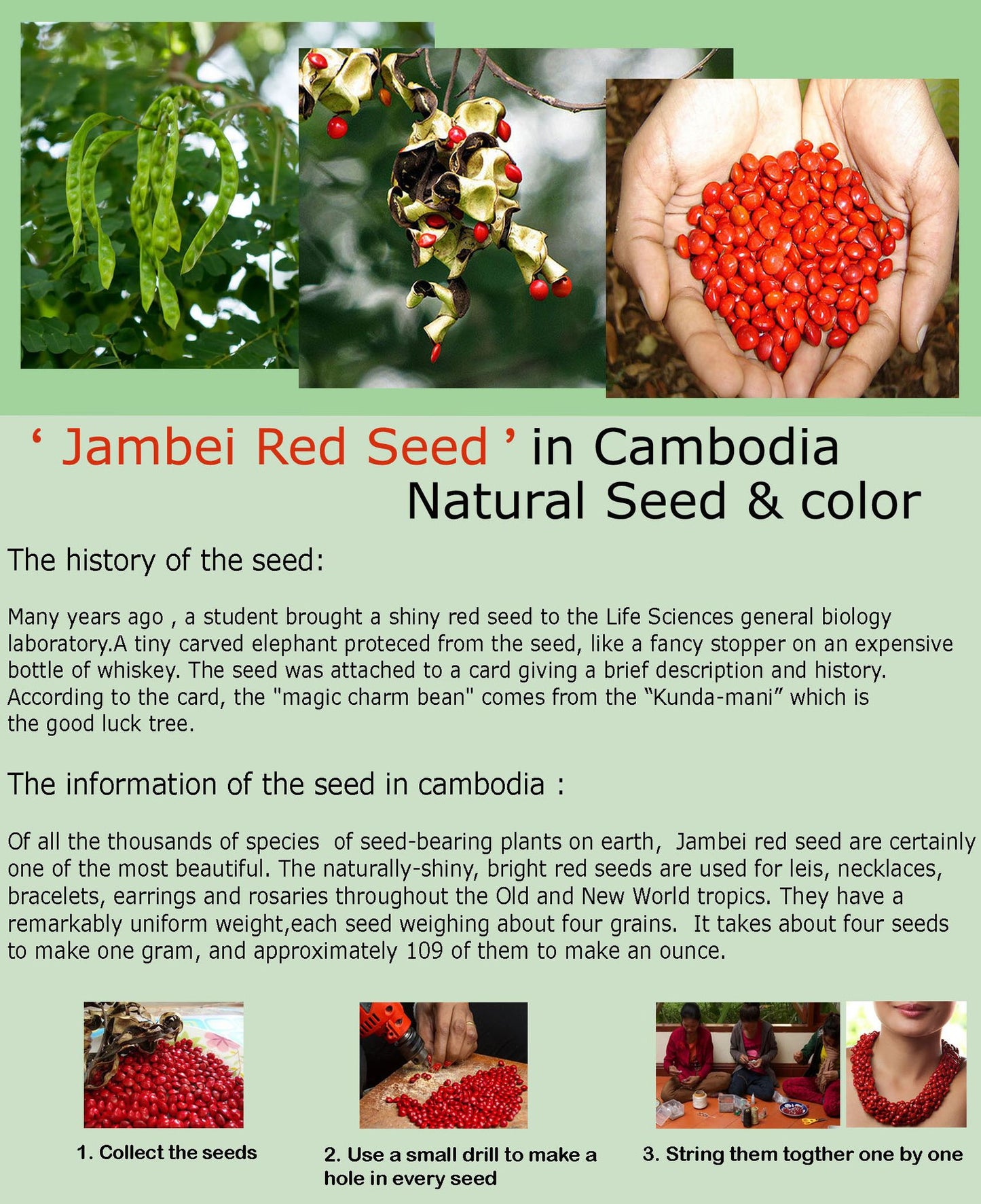 Red Rondel, Lucky Jewelry, Red Necklace, Cambodian seed necklace  (Red Jambei seed) 3 rime long necklace